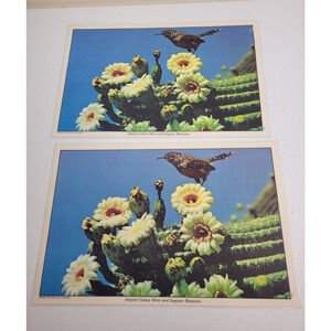 Lot of 2 VTG Grand Canyon Arizona Cactus Desert Art Laminated Placemat 11"x17.5"